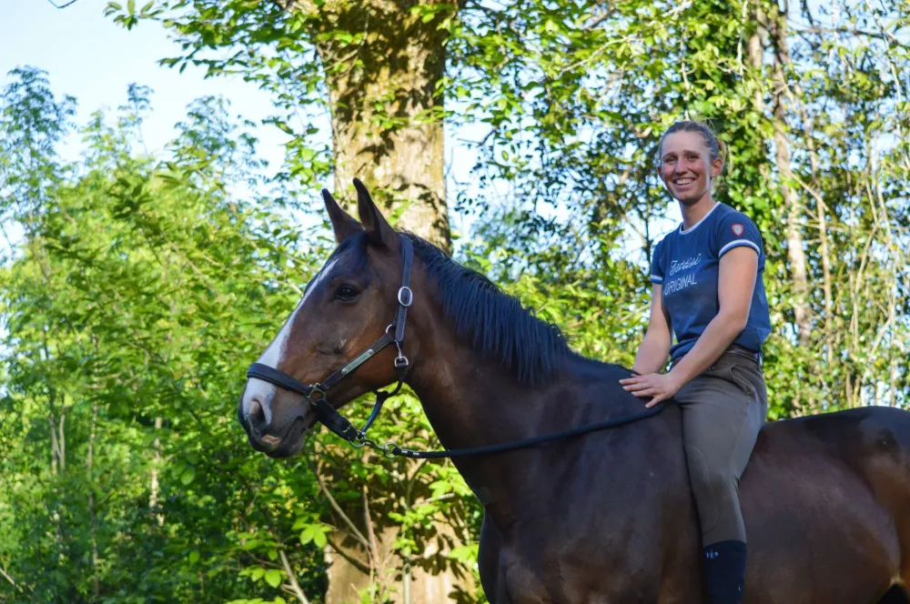 Chevaux Selle Français à Paulinet