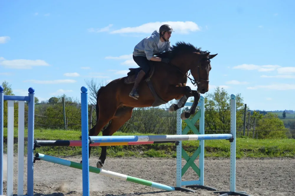 Pension élevage chevaux à Paulinet